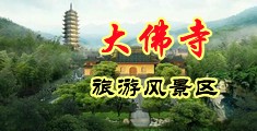 大鸡巴被插逼网站中国浙江-新昌大佛寺旅游风景区